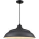 R Series 1 Light 20 inch Satin Black Outdoor Pendant